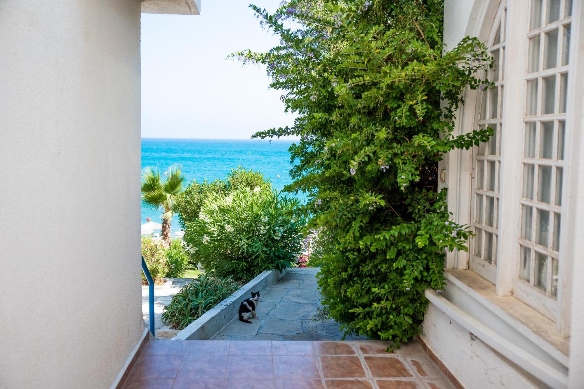 Pissouri Bay Studio Extérieur photo